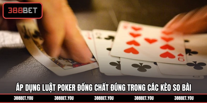 Áp dụng luật poker đồng chất đúng trong các kèo so bài
