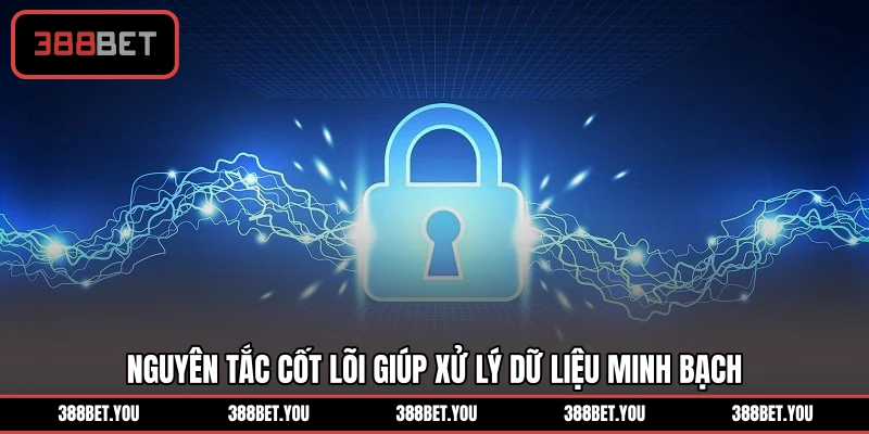 Nguyên tắc cốt lõi giúp xử lý dữ liệu minh bạch